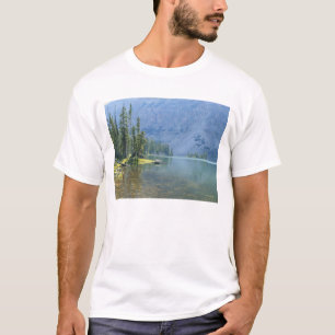 Camiseta EE. UU., Utah, Bosque Nacional Ashley, High Uintas