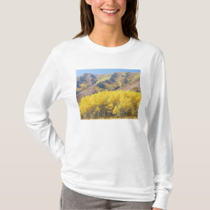 Camiseta EE. UU., Utah, Bosque Nacional Wasatch-Cache,