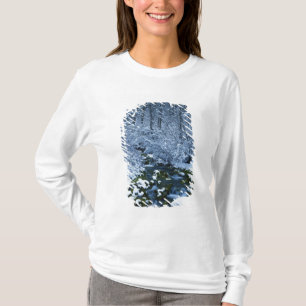 Camiseta EE. UU., Utah, Bosque Nacional Wasatch-Catch,