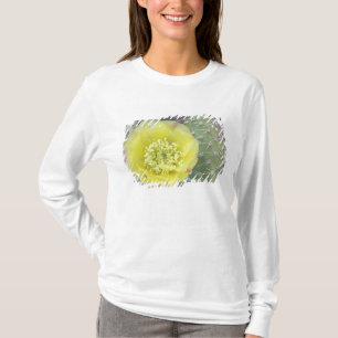 Camiseta EE. UU., Utah, Canyonlands, NP, Nopal espinoso del