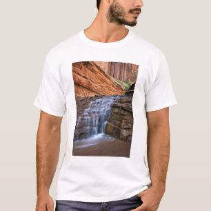 Camiseta EE. UU., Utah, Escalante Wilderness. Cascada en