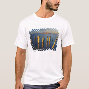 Camiseta EE. UU., Utah, Gran Cuenca, Saltair, Gran Sal