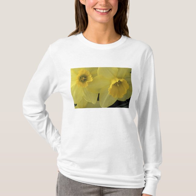 Camiseta EE. UU., Utah, narcisos de Cache Valley (Anverso)