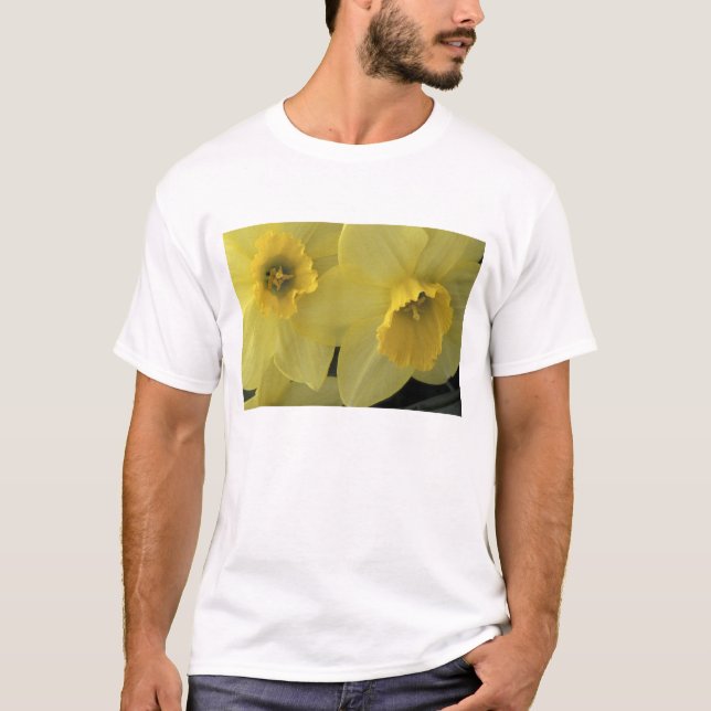 Camiseta EE. UU., Utah, narcisos de Cache Valley (Anverso)