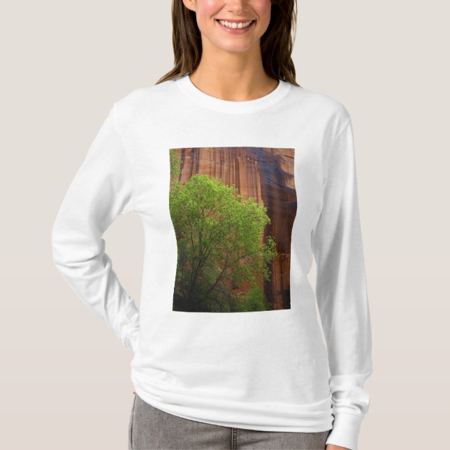 Camiseta EE. UU., Utah, Paria Canyon- Vermillion Cliffs (Anverso)