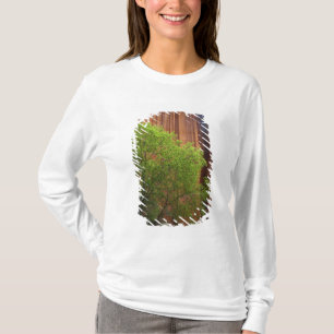 Camiseta EE. UU., Utah, Paria Canyon- Vermillion Cliffs