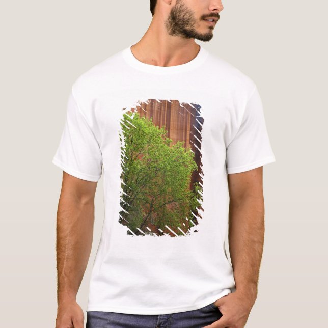 Camiseta EE. UU., Utah, Paria Canyon- Vermillion Cliffs (Anverso)