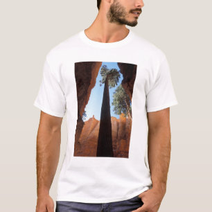 Camiseta EE. UU., Utah, Parque Nacional Bryce Canyon. Alto