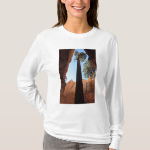 Camiseta EE. UU., Utah, Parque Nacional Bryce Canyon. Alto