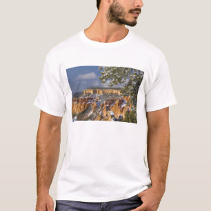 Camiseta EE. UU., Utah, Parque Nacional Bryce Canyon. Amane