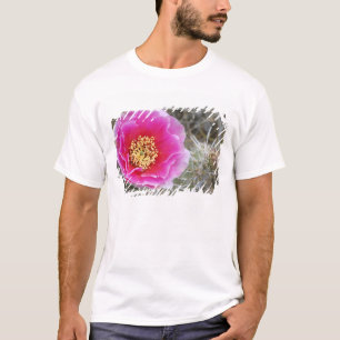 Camiseta EE. UU., Utah, Parque Nacional Canyonlands, Pera e