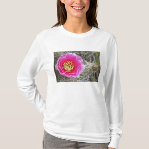 Camiseta EE. UU., Utah, Parque Nacional Canyonlands, Tuna e