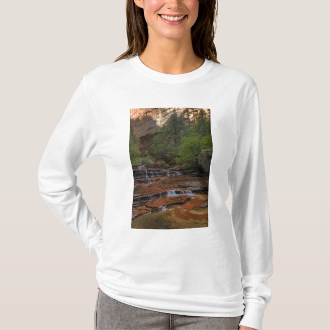 Camiseta EE. UU., Utah, Parque Nacional Zion. Escénico desd (Anverso)