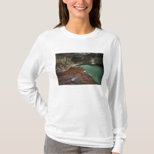 Camiseta EE. UU., Utah, Parque Nacional Zion. Escénico desd