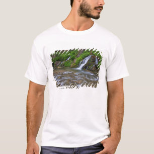 Camiseta EE. UU., Utah, Parque Nacional Zion. Grandes manan