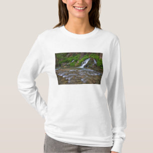 Camiseta EE. UU., Utah, Parque Nacional Zion. Grandes manan