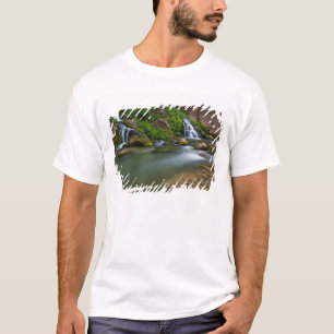 Camiseta EE. UU., Utah, Parque Nacional Zion. La Virgen