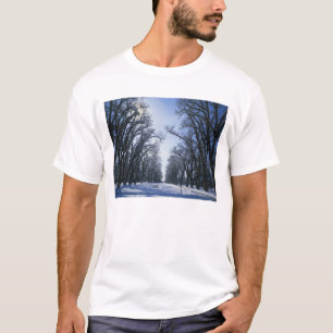 Camiseta EE. UU., Utah, Salt Lake City, Liberty Park,