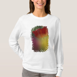 Camiseta EE. UU., Utah, Tulipanes de Cache Valley en un jar