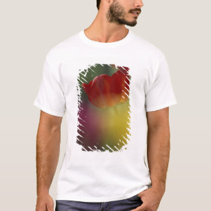 Camiseta EE. UU., Utah, Tulipanes de Cache Valley en un jar