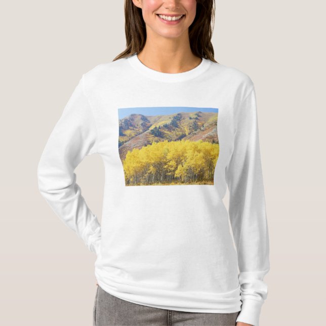 Camiseta EE.UU., Utah, Wasatch-Cache National Forest, (Anverso)