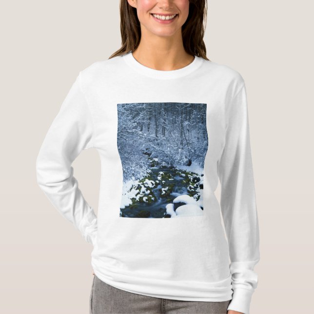 Camiseta EE.UU., Utah, Wasatch-Catch National Forest, (Anverso)