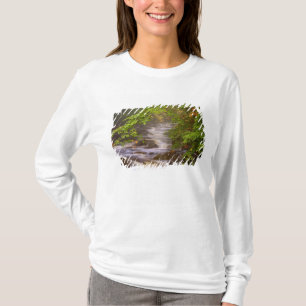 Camiseta EE. UU., Vermont, East Arlington, Corrientes fluvi