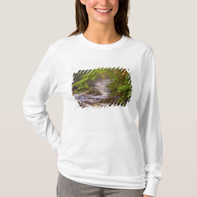 Camiseta EE. UU., Vermont, East Arlington, Corrientes fluvi (Anverso)