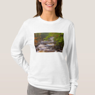 Camiseta EE. UU., Vermont, East Arlington, Corrientes fluvi