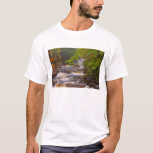Camiseta EE. UU., Vermont, East Arlington, Corrientes fluvi