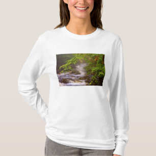 Camiseta EE. UU., Vermont, East Arlington, Corrientes fluvi