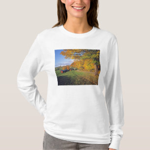 Camiseta EE. UU., Vermont, granja Jenne. El otoño llega a J