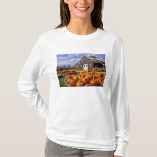 Camiseta EE. UU., Vermont, Shelbourne, Calabazas