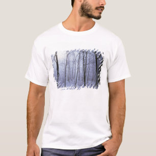 Camiseta EE. UU., Virginia, Área silvestre Richard Thompson