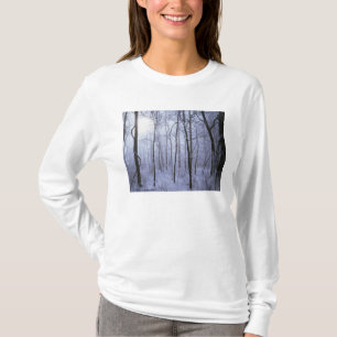 Camiseta EE. UU., Virginia, Área silvestre Richard Thompson