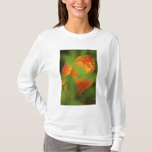 Camiseta EE. UU., Virginia, Arlington, primer plano de nara