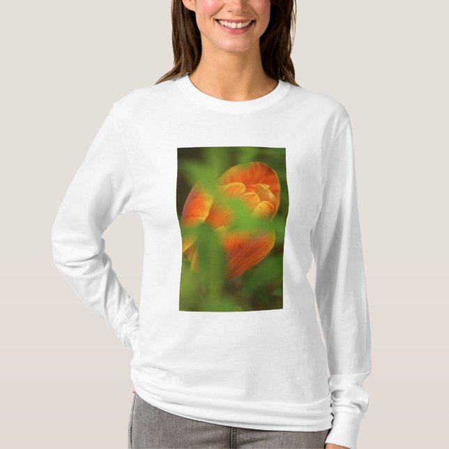 Camiseta EE. UU., Virginia, Arlington, primer plano de nara (Anverso)