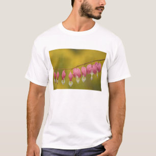 Camiseta EE. UU., Virginia, Arlington, primer plano de rosa