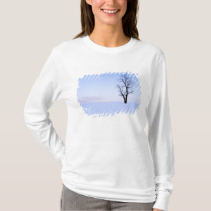 Camiseta EE. UU., Virginia, condado de Page, falsa acacia