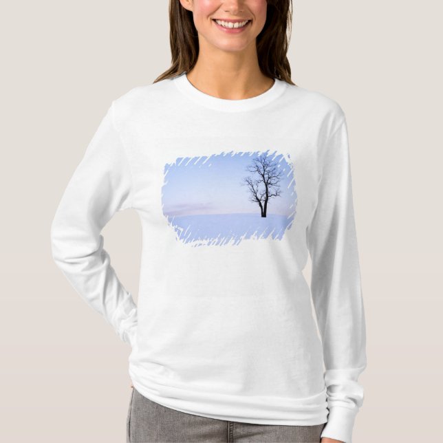 Camiseta EE. UU., Virginia, condado de Page, falsa acacia (Anverso)