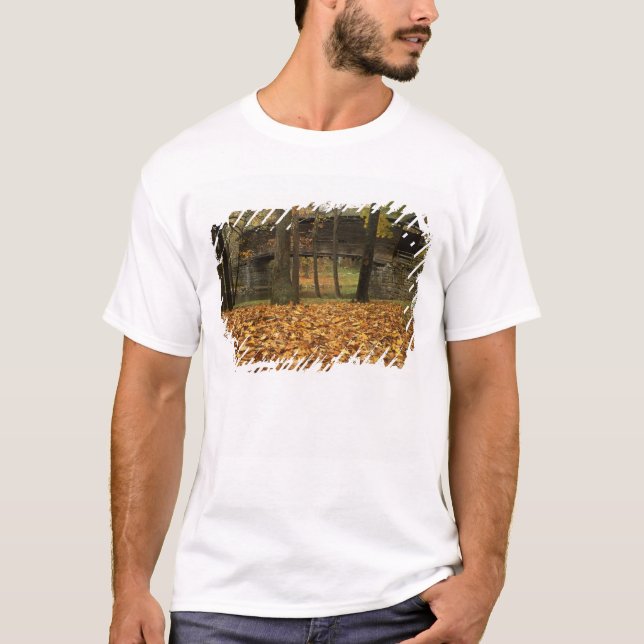 Camiseta EE. UU., Virginia, Covington, Humpback cubierto (Anverso)