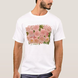 Camiseta EE. UU., Virginia, Manassas, Manassas Nacional