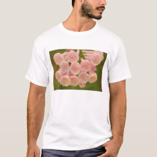 Camiseta EE. UU., Virginia, Manassas, Manassas Nacional
