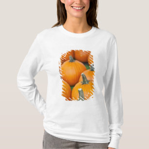 Camiseta EE. UU., Virginia Occidental, Charleston. Capitol