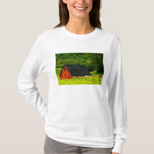 Camiseta EE. UU., Virginia, Parque Nacional Shenandoah, 2