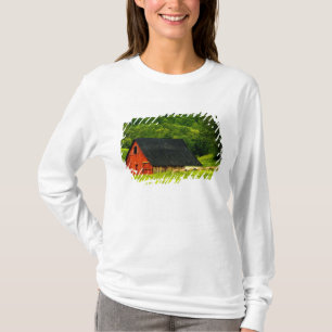 Camiseta EE. UU., Virginia, Parque Nacional Shenandoah, 2