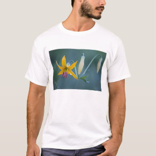 Camiseta EE. UU., WA, Parque Nacional Mt. Rainier. Columbia