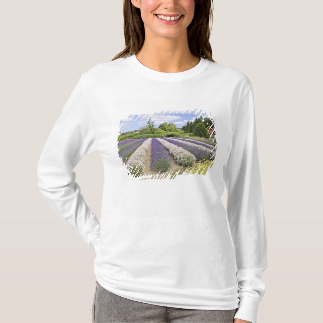 Camiseta EE.UU., WA, Sequim, Granja de lavanda de niebla pú (Anverso)