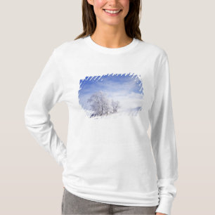 Camiseta EE. UU., Washington, Área de Palouse, Negro Helado