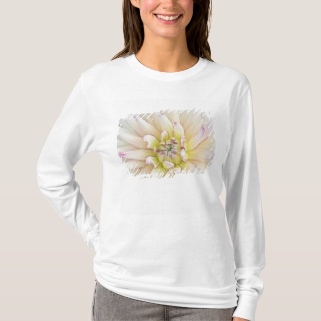 Camiseta EE. UU., Washington, Bellevue, Bellevue Botánico 2 (Anverso)